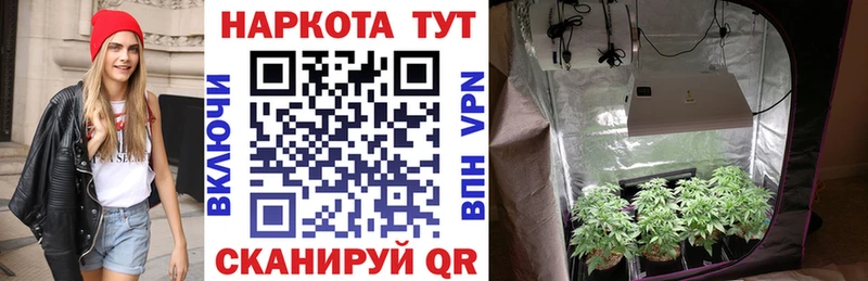 Где купить наркоту Шахты Alpha-PVP 