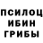 Галлюциногенные грибы прущие грибы Ingus Keivs