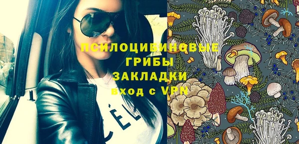 хмурый Алексеевка