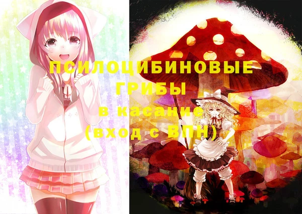 a pvp Алексин