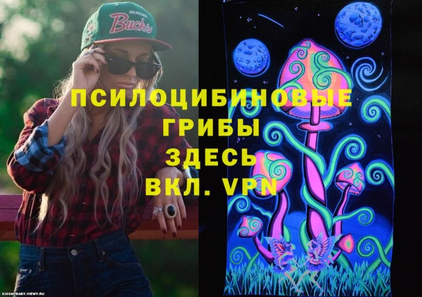 хмурый Алексеевка